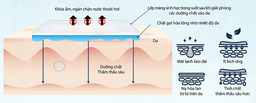cơ chế tan chảy mặt nạ melting mask